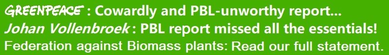 2020-05-08-thefab-response-to-pbl-report-on-the-availability-and-applications-of-sustainable-biomass-english