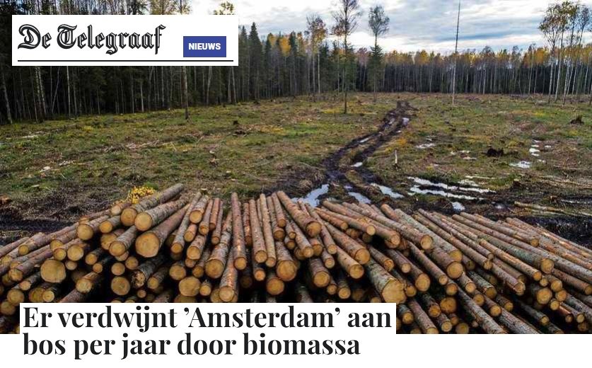 2020-12-02-telegraaf-vraag-naar-biomassa-funest-voor-bossen